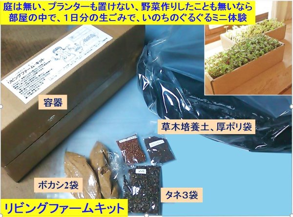 画像1: 部屋の中で 菌ちゃん野菜作り体験　 リビングファームキット (1)