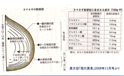 画像3: タマネギ５キロ
