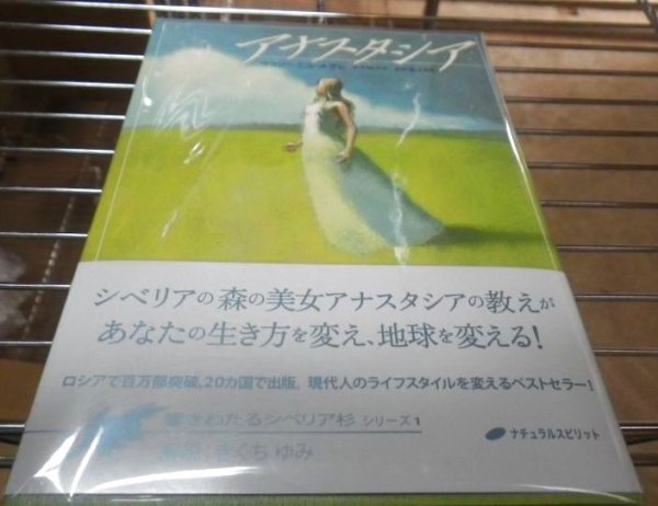 画像1: アナスタシアシリーズ１巻 (1)