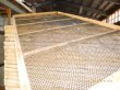 画像3: 出来たて 　カタクチイワシ煮干し　 （かえり）２００ｇ (3)