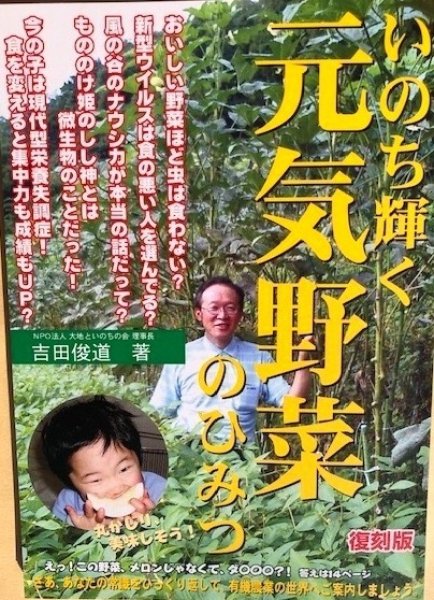 画像1: いのち輝く元気野菜のひみつ復刻版 (1)