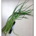 画像1: ニンニクの芽１５０ｇ (1)
