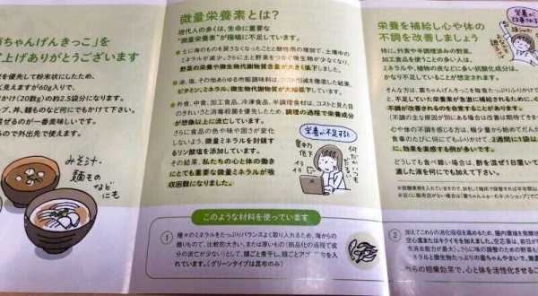 画像1: 菌ちゃんげんきっこ パンフレット１０枚 (1)