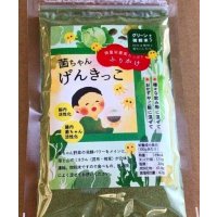 グリーンタイプ 「菌ちゃんげんきっこ」 微粉末５０ｇ入。