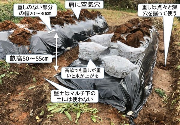 画像1: 黒ポリマルチ 幅１８０ｃｍ長さ１０ｍ (1)