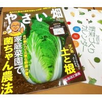 菌ちゃん野菜作り連載開始：やさい畑２０２４冬号　野菜作りカレンダー付