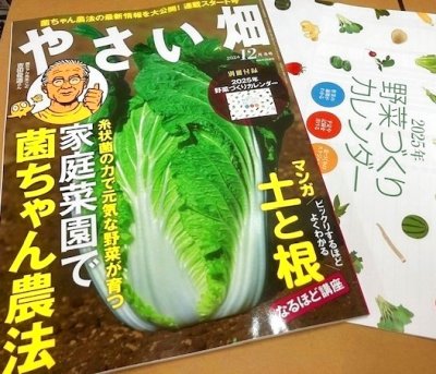 画像1: 菌ちゃん野菜作り連載第1回：やさい畑２０２４冬号★野菜作りカレンダー付★特価