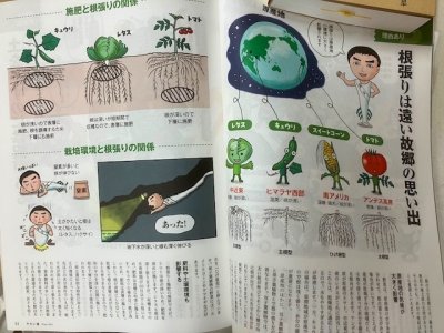 画像2: 菌ちゃん野菜作り連載第1回：やさい畑２０２４冬号★野菜作りカレンダー付★特価