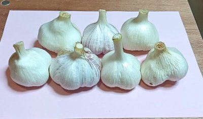 画像1: ニンニク５００ｇ
