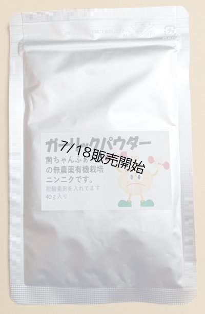 画像1: ニンニクパウダー４０ｇ