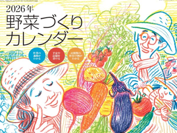 画像3: やさい畑２０２５年１２月号（２０２６年栽培カレンダー付） (3)