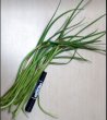 画像1: ニンニクの芽１５０ｇ (1)